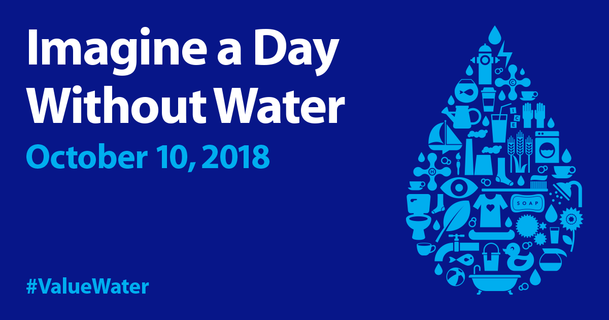 IMAGINE A DAY WITHOUT WATER